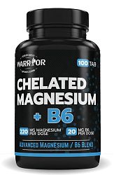 Chelated Magnesium+B6 tablety 100 tab